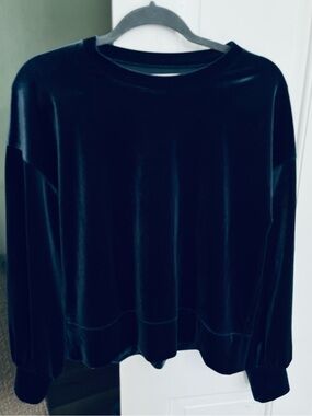 Madewell size Small Long Sleeves deep blue velvet stretch top